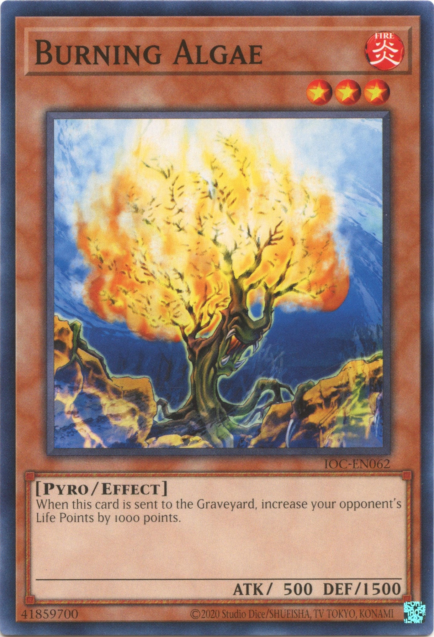 Burning Algae [IOC-EN062] Common