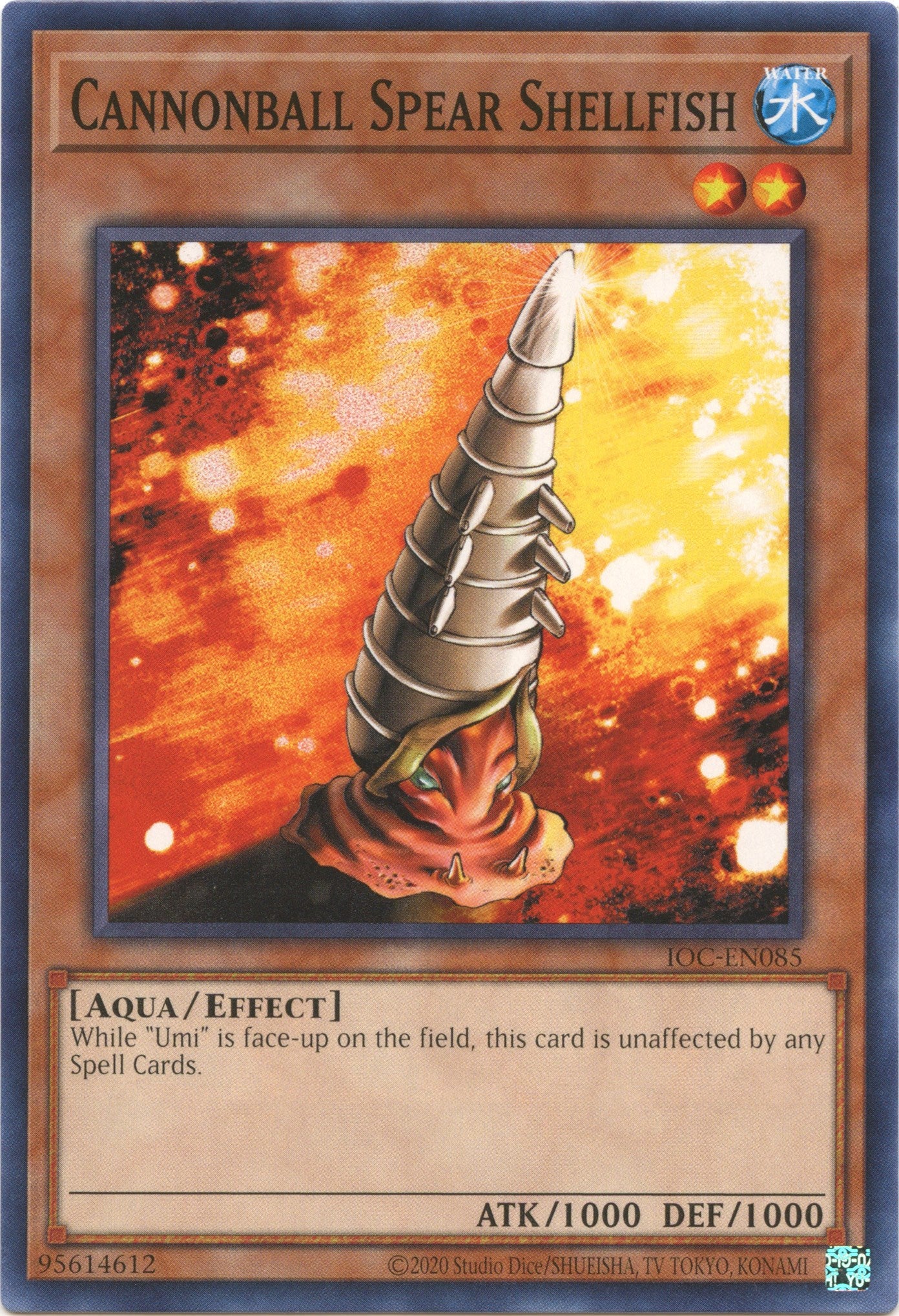 Cannonball Spear Shellfish [IOC-EN085] Common